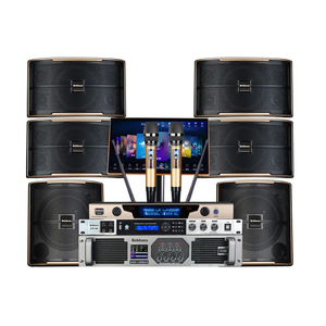 19.<span class=keywords><strong>5</strong></span> "çin Karaoke makinesi kablosuz mikrofon 1TB InAndOn Karaoke seti oyuncu uluslararası KTV profesyonel Karaoke sistemi - Product Image 1