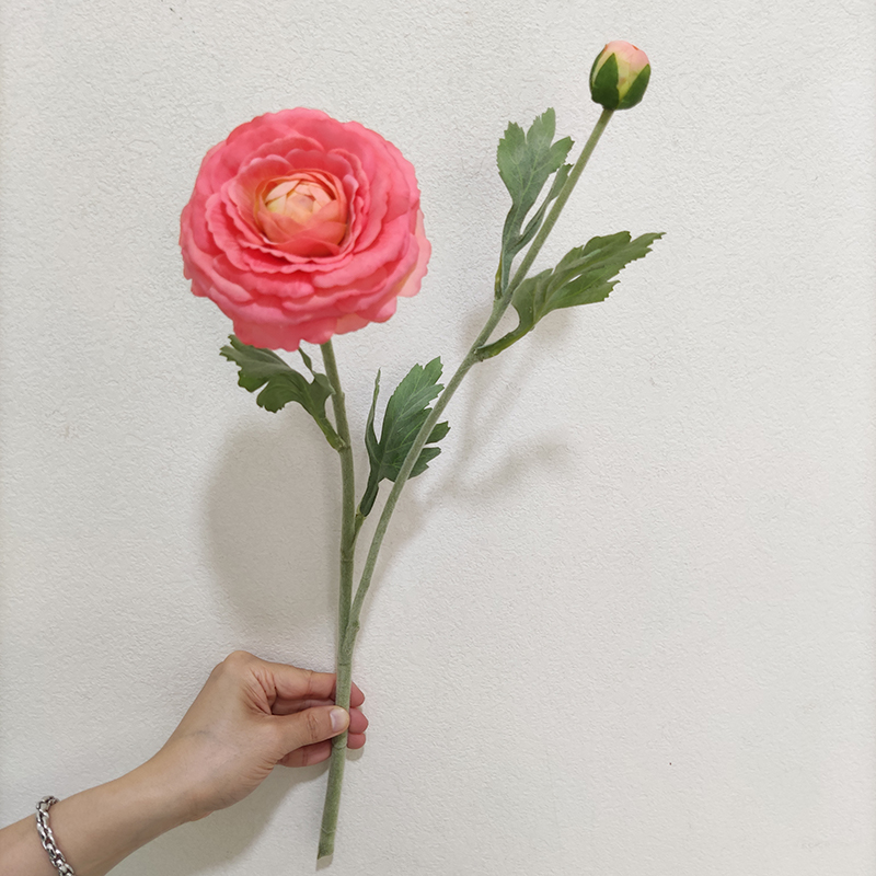 Pink 4
