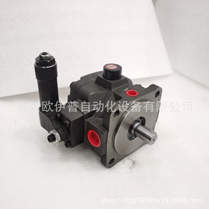 ปั๊มวาล์วแปรผัน Dahua HVP 30 D PK แบบควบคุมด้วยระบบไฮดรอลิก แกนหมุนตามเข็มนาฬิกา - Product Image 4