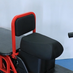 Bicicleta Eléctrica Zaizhongwang de 1000 Vatios de Largo Alcance con Llantas Anchas, Personalizable y Directo de Fábrica - Product Image 2