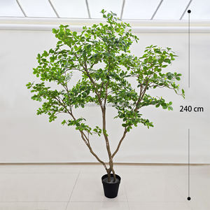 Grand arbre bonsaï à haute <span class=keywords><strong>simulation</strong></span> arbre en palissandre japonais Andromède plante fenêtre aménagement paysager décoration intérieure arbre - Product Image 4