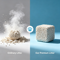 Litière pour chat en amidon de maïs et tofu, sûre pour toutes les espèces, durable, compostable, sable pour chat en vrac, vente en gros, emballage sur mesure