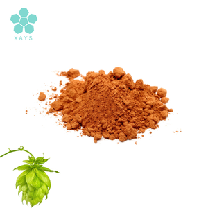Poudre de fleurs de houblon naturelle 20:1 10:1, extrait de fleurs de houblon - Product Image 2