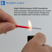 XLPE Photovoltaik-Kabel TÜV 2 PFG 1169 Solarkabel 4mm 6mm² 10mm 16mm 25mm Rot und Schwarz DC Solar-Ladekabel für Energiesysteme