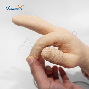 Modelo Avanzado de Venopunción Electrónica, Maniquí Inteligente para Práctica de Punción IV para Enfermeras - Product Image 4