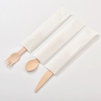Kits de couverts jetables en bois de bouleau biodégradable et compostable, couleur naturelle, respectueux de l'environnement, avec cuillère, couteau et fourchette