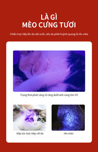 Mini torcia portatile <span class=keywords><strong>UV</strong></span> 365nm torcia portatile ricaricabile a LED per l'identificazione anticontraffazione delle macchie di animali domestici - Product Image 5