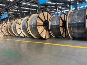 Câble d'alimentation multiconducteur EES CABLE U1000 R02V YJV N2XY 0.6/1KV 4*25 mm² CU/XLPE/PVC 4*25mm² - Product Image 3