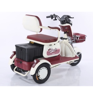 โรงงานขายส่งรถสามล้อไฟฟ้า 48V ไม่มีหลังคา สำหรับรับ-ส่งเด็ก - Product Image 4