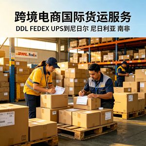 Service de fret international DHL FedEx UPS pour le Niger, le Nigéria, l'Afrique du Sud, transport aérien, maritime, ferroviaire et express - Product Image 2