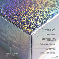 Coffret Cadeau Magnétique Holographique Édition Limitée Noël pour les Fêtes