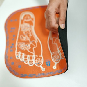 Terapia magnética portátil Reliexología Función infrarroja Estimulador electrónico EMS Recargable Eléctrico Tens <span class=keywords><strong>Foot</strong></span> Mat Masajeador - Product Image 5
