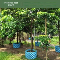 Pot Pembibitan PET Ramah Lingkungan Biodegradable Shandong dengan Lubang Drainase untuk Menyemai Bibit Tanaman, Pohon Buah, Bonsai, dan Bunga 5