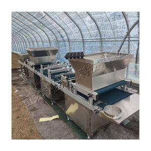 Máquina de plántulas de tapón de <span class=keywords><strong>pimienta</strong></span> y verduras Máquina automática de plantación de semillas Maquinaria de plantación de semillas vegetales de <span class=keywords><strong>grano</strong></span> pequeño - Product Image 6