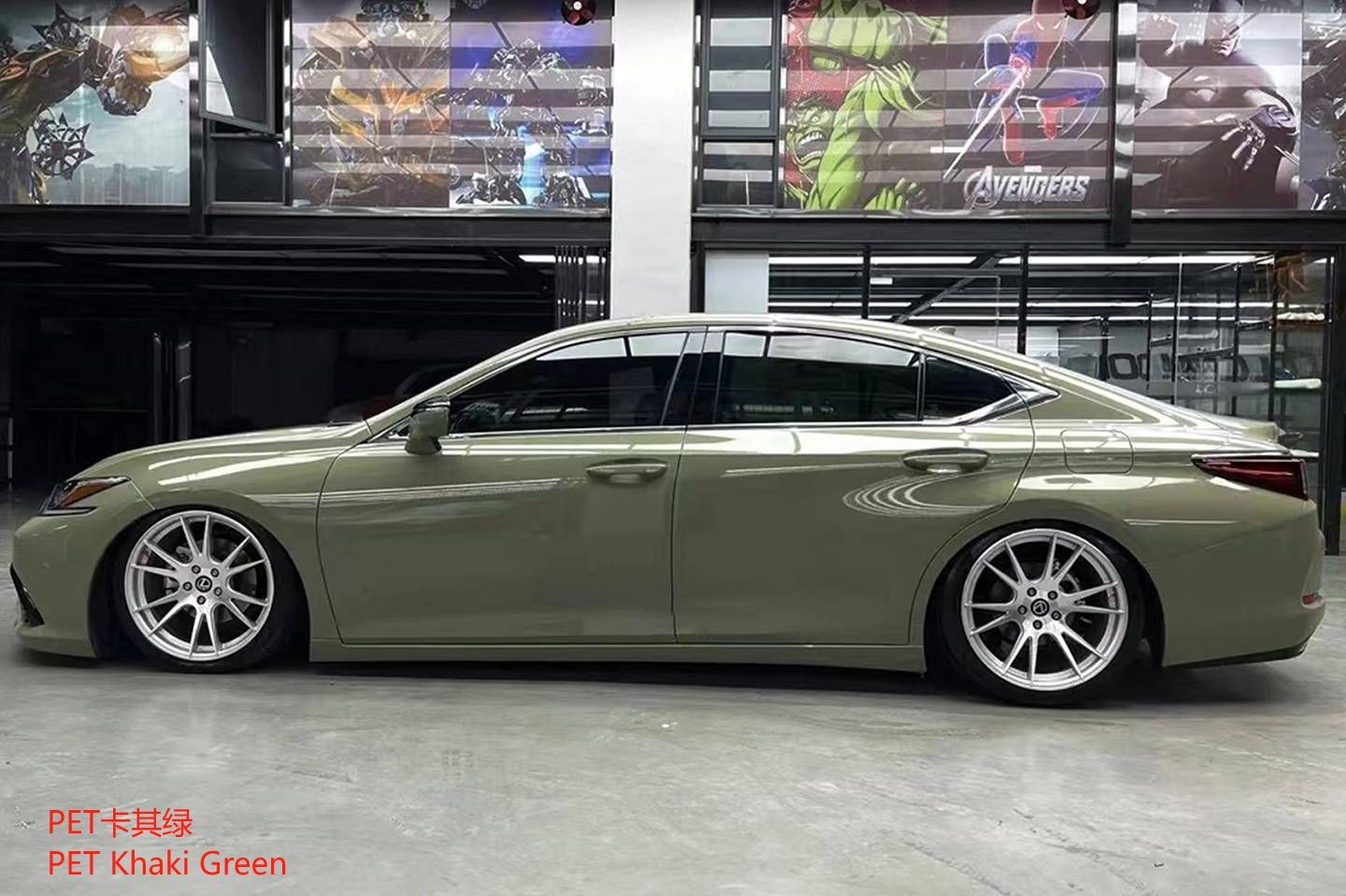 สัตว์เลี้ยงสีกากีสีเขียว