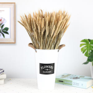 2024 gros Yunnan bricolage fleur séchée <span class=keywords><strong>blé</strong></span> sec décor naturel bouchons d'oreille mariage/magasin centres <span class=keywords><strong>de</strong></span> <span class=keywords><strong>table</strong></span> - Product Image 1