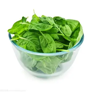 Better PriceHigh Quality Best Selling IQF Frozen Vegetables Fresh Spinach Block