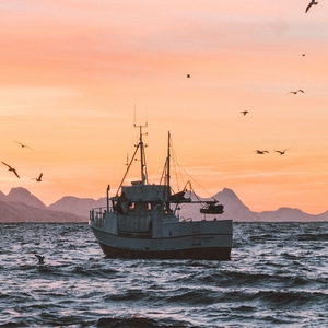 高品质集装箱海运代理 中国至中东-港口交货 门到门 20GP/40HQ集装箱运输 快速交货 DDU/DDP - Product Image 5