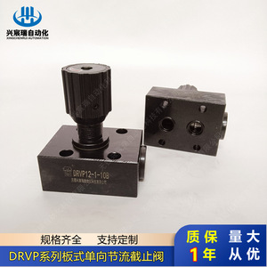 Válvula de Regulación Unidireccional de Placa Serie Drvp de Xingchenrui, Drvp12 1-10b, para Control de Flujo de Aceite, Conexión de Brida de Alta Presión - Product Image 4
