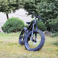 Long Range Electric Bike with Double Battery, 48V, 1000 W