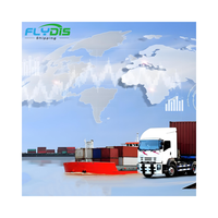 Service DDP LCL, Agent maritime DDP, Agent d'expédition porte-à-porte UPS DHL Express par air et mer, Chine vers Malaisie, Maroc, Afrique du Sud