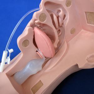 Simulador Avançado de Treinamento em Sucção, Modelo de Sucção de Esputo - Product Image 4