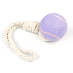 Jouets à mâcher <span class=keywords><strong>pour</strong></span> <span class=keywords><strong>chien</strong></span> en mousse de caoutchouc souple écologique, modernes et personnalisés avec logo, <span class=keywords><strong>pour</strong></span> l'entraînement quotidien des chiens - Product Image 4