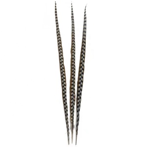 <span class=keywords><strong>Plumas</strong></span> de Faisán de Alta Calidad de 10-15 cm para Tocados, Disfraces, Accesorios de Cine, Decoraciones Retro, Sombreros y Accesorios para Sombreros - Product Image 4