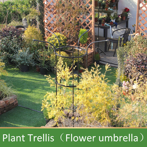 Nouvelle structure de soutien pour plantes grimpantes de type parapluie, pour roses, clématites, cage à tomates de 14 mm de diamètre pour plantes <span class=keywords><strong>en</strong></span> <span class=keywords><strong>pot</strong></span> grimpantes - Product Image 4