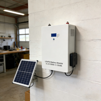 Módulo de Batería LiFePO4 de 5.12KWh 51.2V 300Ah para Montaje en Pared, para Sistema de Almacenamiento de Energía Solar Doméstico, BMS, 2000 Ciclos, 0.5-43C
