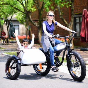 Tricycle de livraison en aluminium de haute qualité avec moteur brushless 750W, batterie au lithium puissante et pneus larges - Product Image 4