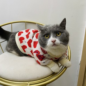 Suéter de Lana Tejido para Mascotas, Ropa para Perros Pequeños y Gatos, Estampado de Corazón Grande, Estilo de Dibujos Animados a Rayas, para el Día de San Valentín, Invierno y Primavera - Product Image 2