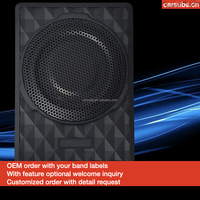 Caisson de basses de voiture 6.5 pouces RMS 300W Peak 1200W Strong Bass Subwoofer actif sous le siège pour véhicule électrique