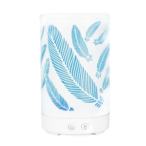 Creative <b>Feather</b> Pattern Aroma Diffuser 0.5L Usb Powered Night Light For Home Office Desktop Gift - Product Image 2