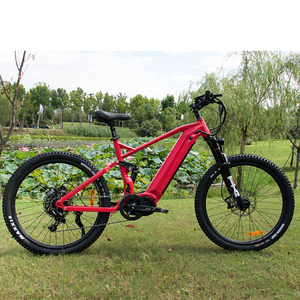 Bicicleta eléctrica, neumático ancho, bicicleta eléctrica - Product Image 1