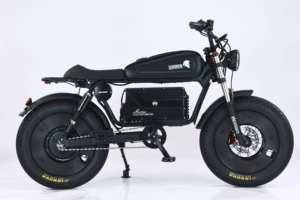 Bicicleta Eléctrica de Montaña para Adultos 48V 1000W con Llantas Anchas, Velocidad de 25MPH, Batería Extraíble, Bicicleta Todoterreno - Product Image 2