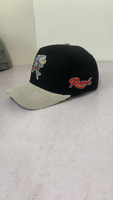 Gorras de béisbol con Águila, borlas personalizadas de marca propia, respetuosas con el medio ambiente