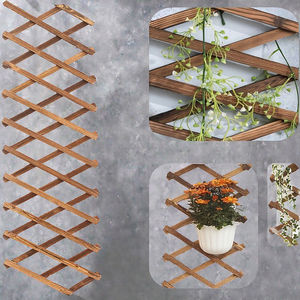 ราวไม้แนวตั้งสำหรับแขวนดอกไม้แบบยืดขยายได้รั้วตาข่ายไม้สำหรับสวนหลาและ<span class=keywords><strong>บ้าน</strong></span> - Product Image 5