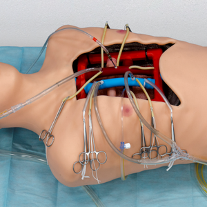Simulateur de réalité virtuelle Bakulev CPBSS pour la formation scientifique médicale avec mannequin - Product Image 2