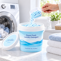 Lessive en poudre concentrée écologique Lavande Citron Nettoyage en profondeur Faible mousse OEM/ODM Marque privée Emballage personnalisé