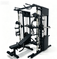 DINUO – Cage de musculation intégrée tout-en-un, directement de l'usine, pour entraînement complet du corps à domicile ou en studio
