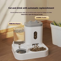 Distributeur automatique de nourriture pour chat et chien 2-en-1 écologique, nouveau bol pour animaux de compagnie en plastique solide, grande capacité avec distributeur d'eau