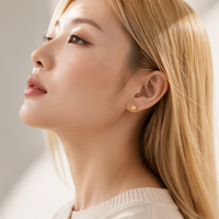 Maina Geometry Zircon ASTM F136 Titanium Internally Thread Cartilage Helix Earrings Leaves Flat Back Labret Lip Piercing Jewelry