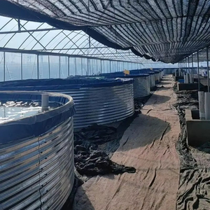 Sistema de Acuicultura de Recirculación de PVC para Interiores, Personalizable, Venta al por Mayor de Fábrica, para Piscicultura RAS - Product Image 1