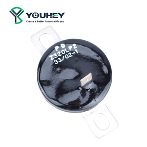 Protector Contra Sobretensiones Varistor Z320LP2 33/02-1 para una Protección Eficiente de Grupos Electrógenos Diésel - Product Image 2