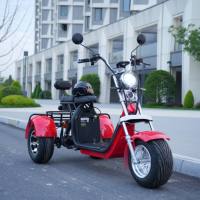 Feiwo Y20 2000W Üç Tekerlekli Elektrikli Scooter Uzun Menzilli Su Geçirmez Lityum Pil Hidrolik Disk Frenler Alüminyum Alaşımlı Gövde