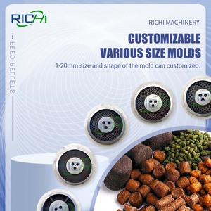 Richi CE chứng nhận 1-2t/h cá da trơn cá rô phi nhà máy thức ăn cho cá - Product Image 3