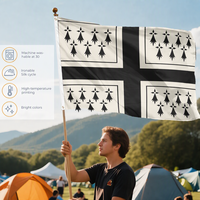 Drapeau personnalisé en polyester 3x5 pieds, drapeau de la Bretagne avec œillets en laiton, drapeau de la région historique française, drapeau extérieur personnalisé