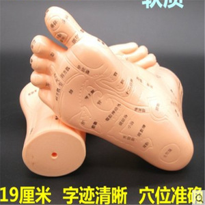 Wei Ye <b>Massage</b> Foot Model 19cm Soft Acupressure Reflexology Training <b>Tool</b> - Product Image 3