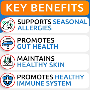 Großhandels preis Saisonale Allergie entlastung & Immun verstärker Tier gesundheit & Nahrungs ergänzungs mittel Hund Anti Juckreiz Kauen mit Astragalus wurzel - Product Image 2